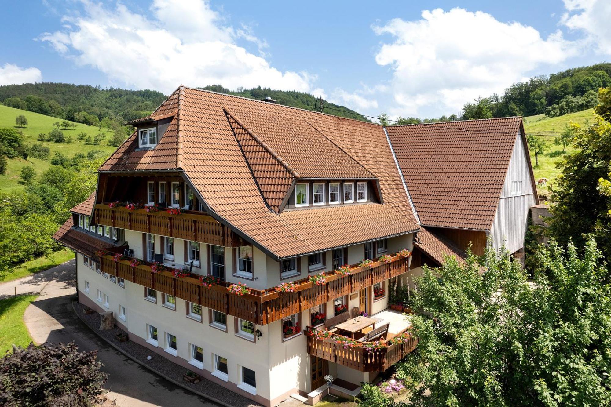 Appartamento Danielenhof Freiamt Esterno foto