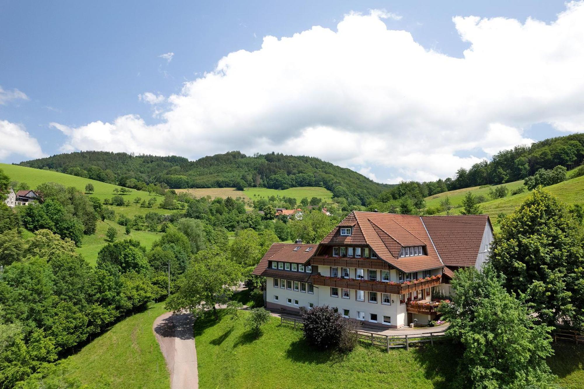 Appartamento Danielenhof Freiamt Esterno foto
